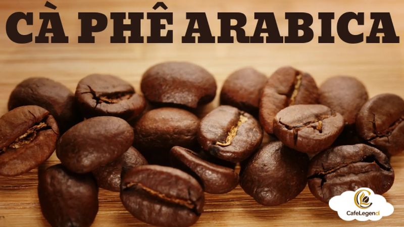 ca-phe-arabica-nhiet-do-bao-nhieu