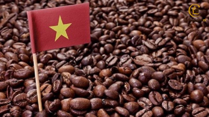 eu-deforestation-regulation-eudr-ca-phe-va-lo-trinh-viet-nam