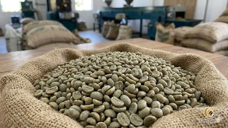 gia-ca-phe-hom-nay-21-3-2026-cham-dinh-94-000d-kg-arabica-tang-soc