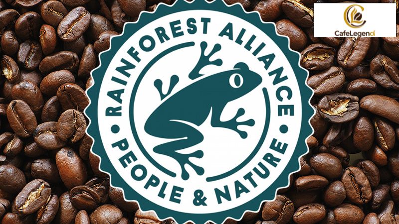 Rainforest Alliance Cà Phê: Vé thông hành bền vững cho cafe