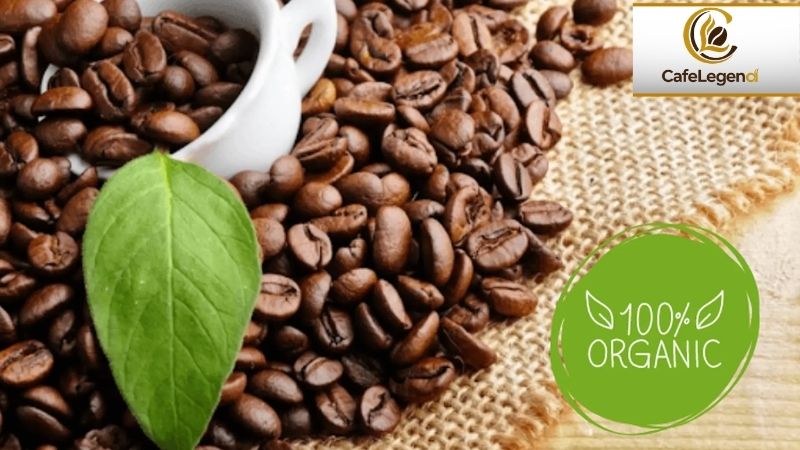 ca-phe-hat-organic-xu-huong-thuong-thuc-bao-ve-suc-khoe