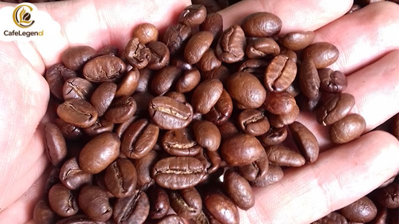 Cà phê robusta dưới 2 triệu: Đỉnh cao vị đắng giá hời